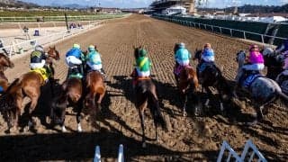 【チャンピオンズC／馬場情報】土曜は8枠好走も“イン突き”がコース攻略　枠と血統で浮上した想定“10人気”の爆穴