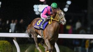 中京ダートは展開一つで差しも届く！ メイショウハリオの直線一気があるか