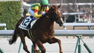 【中京5R新馬戦結果】スワーヴリチャード産駒ゴーゴーリチャードが初陣飾る
