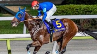 【チャンピオンズC・馬体重】ナルカミは508kg(+3)、ダブルハートボンドは474kg(-2)