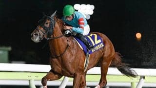 【カペラS】ヤマニンチェルキ、ガビーズシスターらが登録