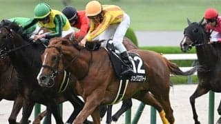 【中日新聞杯】シェイクユアハート、ファミリータイムらが登録