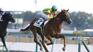 【新馬/中京5R】武豊ゴーゴーリチャードがデビューV