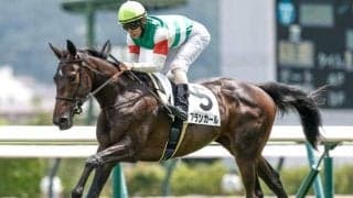2歳女王決定戦・阪神JFなど3重賞/今週の競馬界の見どころ