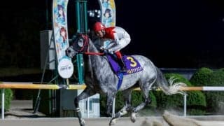 【佐賀・九州産グランプリ】“体の芯がしっかり”と成長示す…ベルウッドウズメが3馬身差完勝