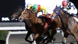 【高知・長浜特別】大混戦の直線叩き合いを制す！ サノノエスポが準重賞勝利