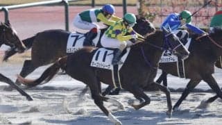 古川奈穂が土日で2勝と活躍…女性ジョッキー結果