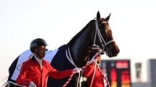 WIN5は2653票的中…チャンピオンズCはダブルハートボンドがV