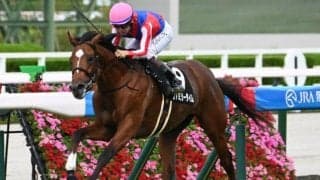 【中日新聞杯見どころ】勢いあるファミリータイムに注目