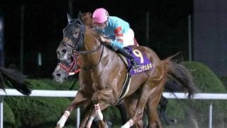 【カペラS見どころ】成長一途のヤマニンチェルキが連勝を伸ばす