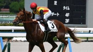 【阪神JF見どころ】切れ味抜群スターアニスが戴冠を狙う