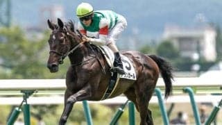 【阪神JF想定騎手】アランカールは北村友一騎手、マーゴットラヴミーは武豊騎手