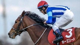 【ステイヤーズS】売上は35億8250万8400円で昨年より約3.7億円増加