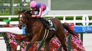 【中日新聞杯想定騎手】ファミリータイムは松山弘平騎手、シェイクユアハートは古川吉洋騎手