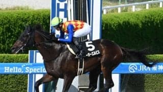 【カペラS想定騎手】テーオーエルビスは鮫島克駿騎手、ガビーズシスターは吉田隼人騎手