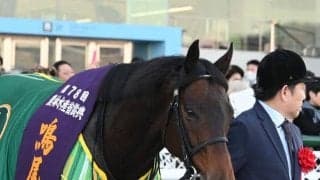 【鳴尾記念】売上は32億8979万9500円 今年から12月開催に移行