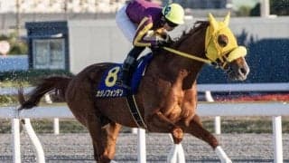 【船橋記念枠順】ラストランのカジノフォンテンは6枠10番