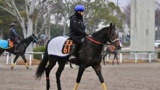 母は米ダート重賞3勝 セレクト2億超のセツナサが初陣/関東馬メイクデビュー情報