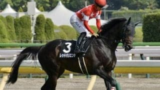 【中日新聞杯展望】前走着順とクラスに妙味あり、データ合致のレッドバリエンテが波乱を演出