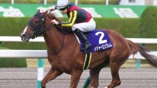 C.ルメール騎手のJRAジョッキーとしてのGI初制覇 15年阪神JFを回顧