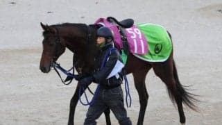 トウカイツバキなど、先週のゲート試験/栗東トレセンニュース