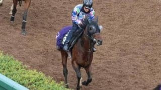 ララファキュルテなど、先週の入厩情報/栗東トレセンニュース