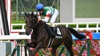 【阪神JF予想オッズ】アランカールが予想1番人気