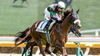 【中日新聞杯予想オッズ】シンハナーダが予想1番人気