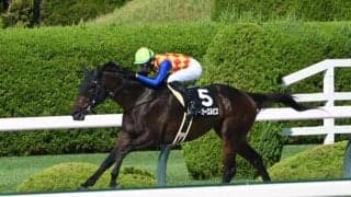 【カペラS予想オッズ】テーオーエルビスが予想1番人気