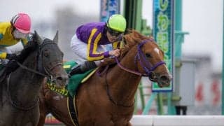 かしわ記念Vのカジノフォンテンは船橋記念がラストラン