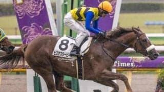 【阪神JF展望】「前走馬体重」が攻略への最大の鍵