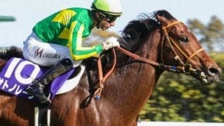 【香港スプリント】高松宮記念覇者のサトノレーヴ 今度こそ打倒カーインライジングなるか