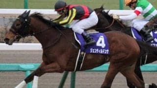 中山でも強かったジェンティルドンナ 14年有馬記念で見せたラストラン
