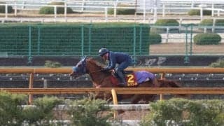 アルバンヌ、阪神JF最終追い切り速報/栗東トレセンニュース