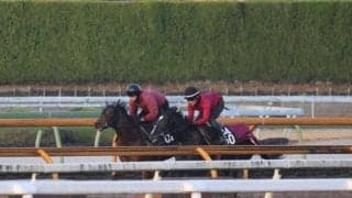 バドリナート、ホープフルS2週前追い切り速報/栗東トレセンニュース