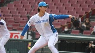 日本ハム戦力外の育成右腕が関西独立リーグ・堺に入団！今季は二軍で19登板防御率1.88を記録