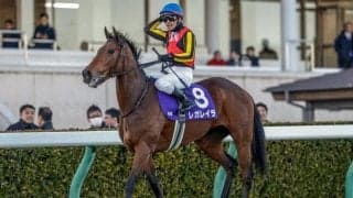 【有馬記念想定】レガレイラ、メイショウタバルなど18頭