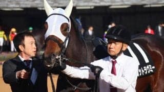 【阪神JF】武豊騎手が31年ぶりの2勝目なるか マーゴットラヴミーと初コンビで挑む