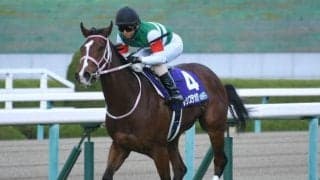 阪神タイガースの選手3人が競馬場に来場 阪神JFと「黄枠」＆「黒枠」の相性は？
