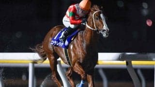 【船橋・船橋記念結果】エンテレケイアが逃げ切って重賞5勝目を挙げる