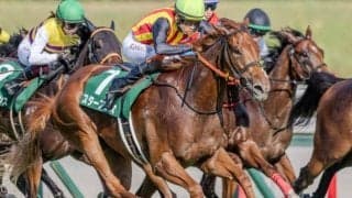 【阪神JF予想】末脚勝負の2歳女王決定戦 AIが指名した“買うべき一頭”とは