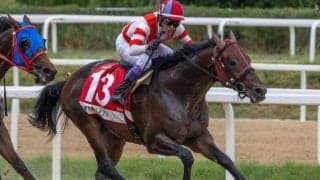 【カペラS展望】JBCスプリント組が強力、好走データ合致のチカッパに注目