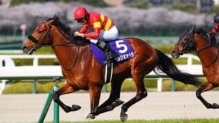 【香港国際競走】JRA勢、最終調整完了…充実の動きで本番へ万全の構え