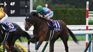 【香港マイル枠順確定】エンブロイダリー＆ルメール騎手は10番ゲート、ソウルラッシュ＆C.デムーロ騎手は11番ゲート