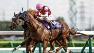 【香港スプリント枠順確定】ウインカーネリアン＆三浦皇成騎手は11番ゲート、サトノレーヴ＆ムーア騎手は4番ゲート