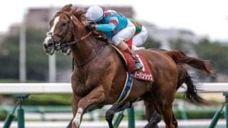 【香港ヴァーズ枠順確定】アーバンシック＆ルメール騎手は3番ゲート