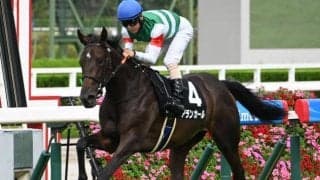 【阪神JF出走馬・騎手確定】アランカール＆北村友一騎手、マーゴットラヴミー＆武豊騎手など18頭