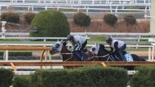メイショウタバル、有馬記念2週前追い切り速報/栗東トレセンニュース