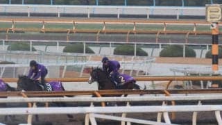 アドマイヤクワッズ、朝日杯FS1週前追い切り速報/栗東トレセンニュース