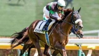 【中日新聞杯出走馬・騎手確定】シンハナーダ＆鮫島克駿騎手、ファミリータイム＆松山弘平騎手など18頭